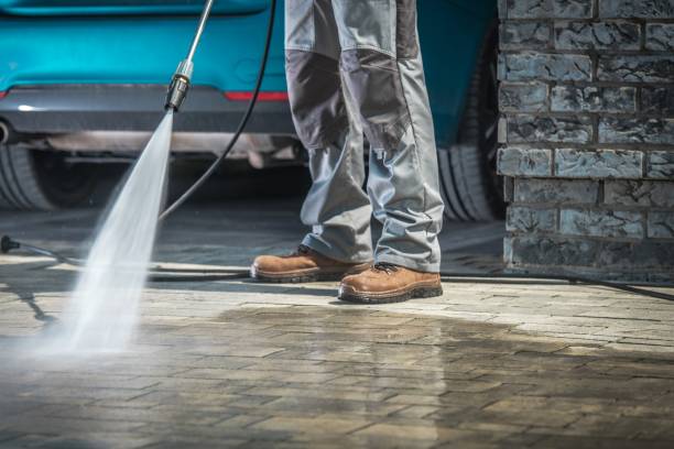 Best Pool Deck Cleaning  in Carroll, IA