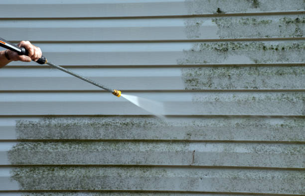 Best Post-Construction Pressure Washing  in Carroll, IA