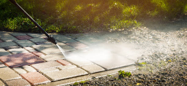 Best Gutter Cleaning  in Carroll, IA