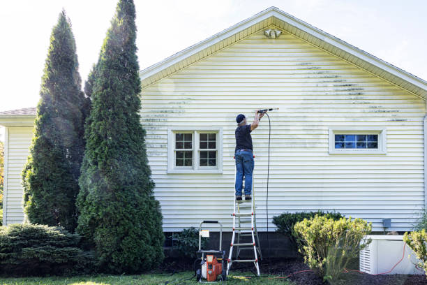 Reliable Carroll, IA Pressure Washing Services Solutions