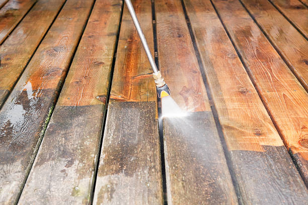 Best Fence Cleaning  in Carroll, IA